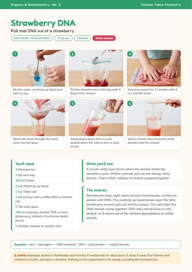 Strawberry DNA card: DNA strands lifted from strawberry juice